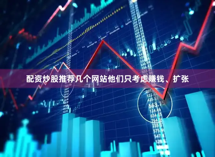 配资炒股推荐几个网站他们只考虑赚钱、扩张