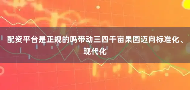 配资平台是正规的吗带动三四千亩果园迈向标准化、现代化