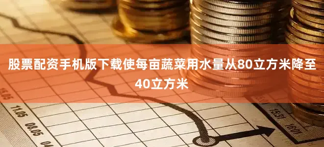 股票配资手机版下载使每亩蔬菜用水量从80立方米降至40立方米