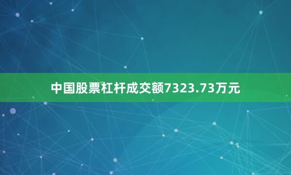 中国股票杠杆成交额7323.73万元